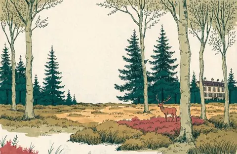 Illustratie bij het hoofdstuk Gelderland